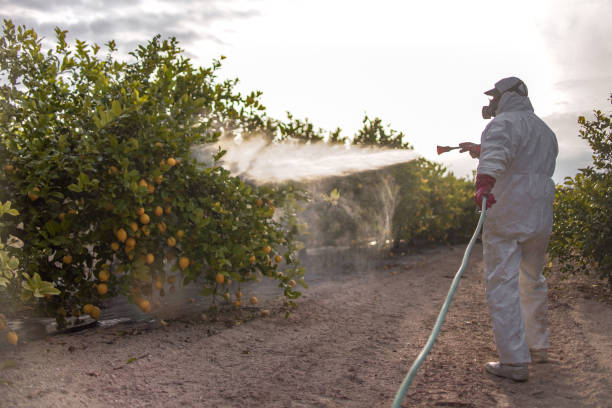 Best Pest Removal Services  in Oberlin, LA