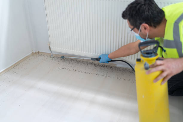 Best Best Pest Control Companies  in Oberlin, LA