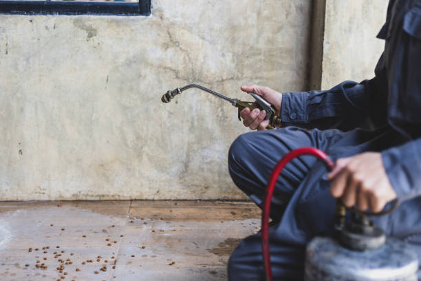 Best Best Pest Control Companies  in Oberlin, LA